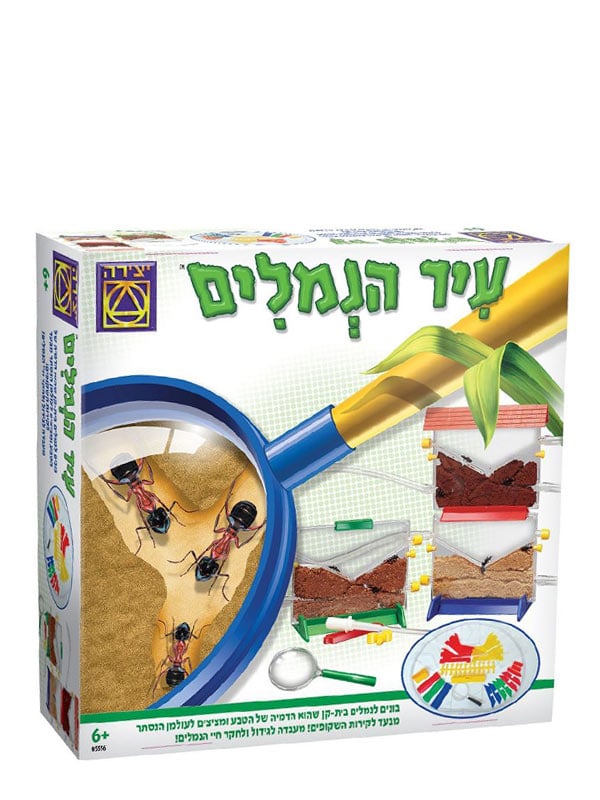ערכת מדע - עיר הנמלים