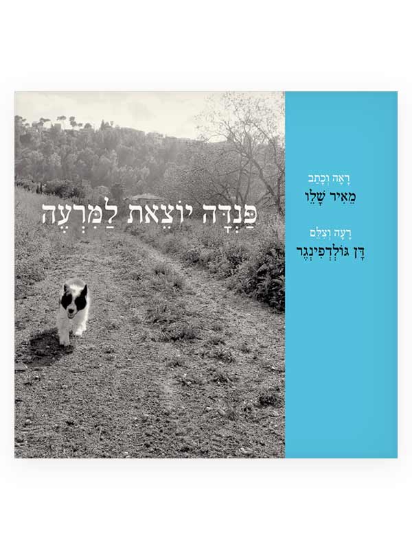 פנדה יוצאת למרעה כריכת הספר