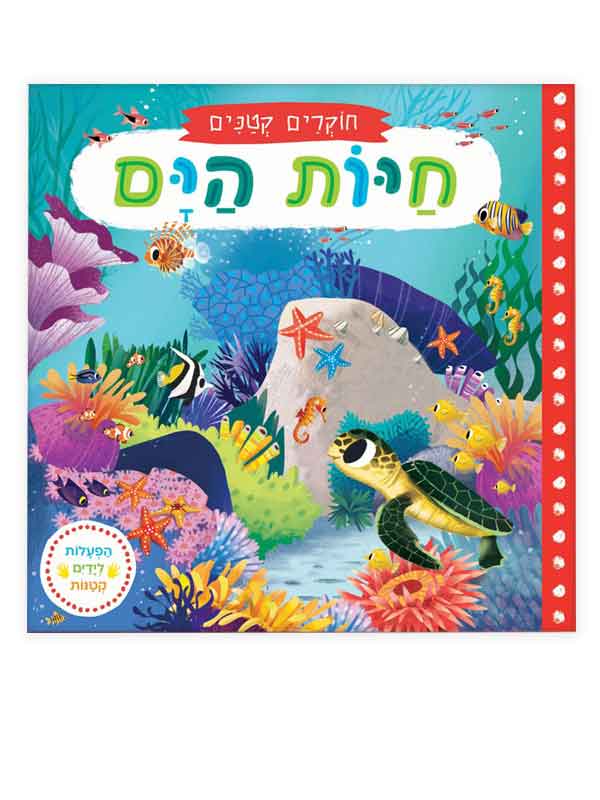 חוקרים קטנים - חיות הים