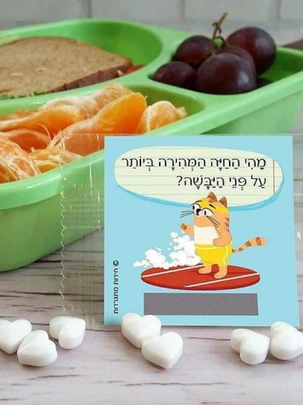 חידות מתגרדות לארוחת העשר – גילאי 6-8 סדרה 3