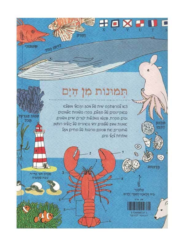 האנטומיה של הים