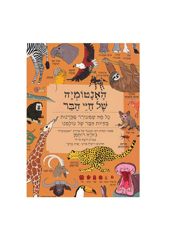 האנטומיה של חיי הבר