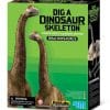 חפירת שלד Brachiosaurus ברכיוזאורוס