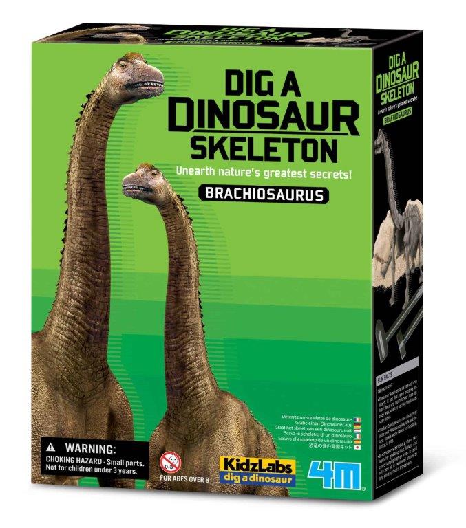 חפירת שלד Brachiosaurus ברכיוזאורוס